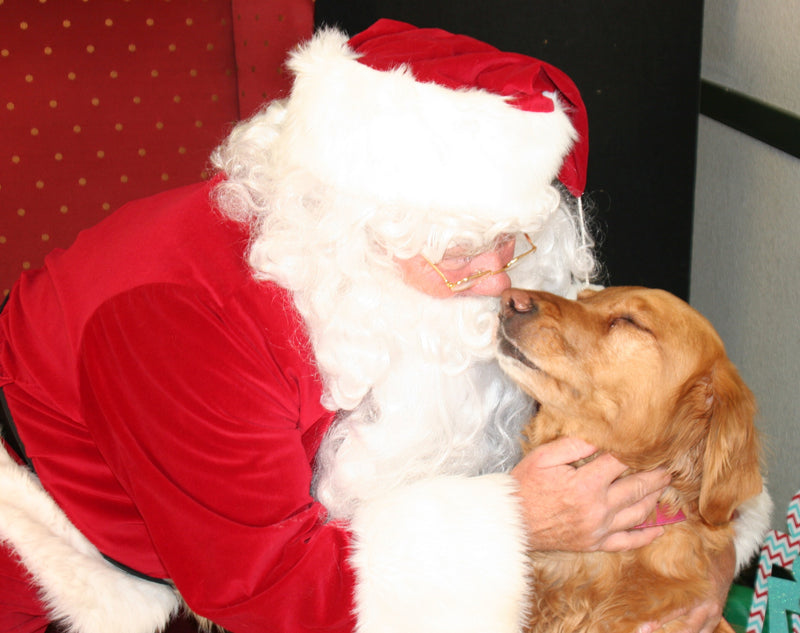 Santa Claus Loves Dogs!