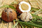 What's Up With Coconuts and Canines?