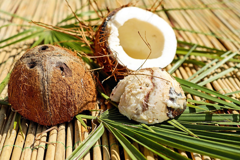 What's Up With Coconuts and Canines?