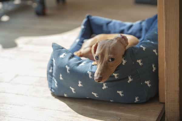 Give A Dog A Bed