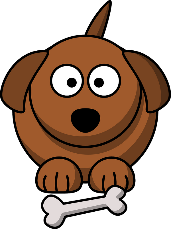 I've Tried EVERYTHING And My Dog Is Still Fat!