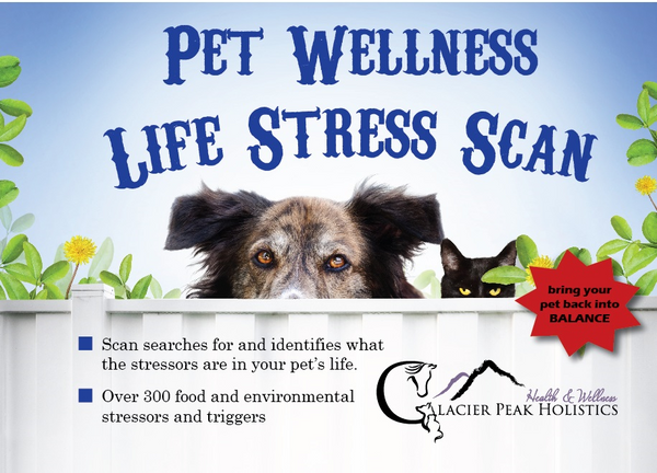 Does Your Dog or Cat Have Food or Environmental Allergies?