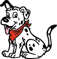 Should I Switch Dog Food?