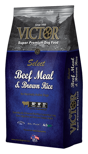 Victor Select Beef Meal & Brown Rice