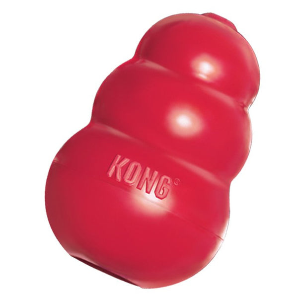 Buy KONG - Puppy Starter Dog Toy Kit - Blue Toy for Small Puppies Online at  Low Prices in USA 