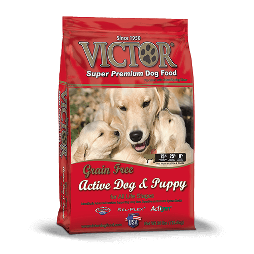 Victor Active Grain Free Puppy