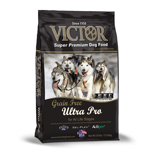 Victor Ultra Pro 42 dog